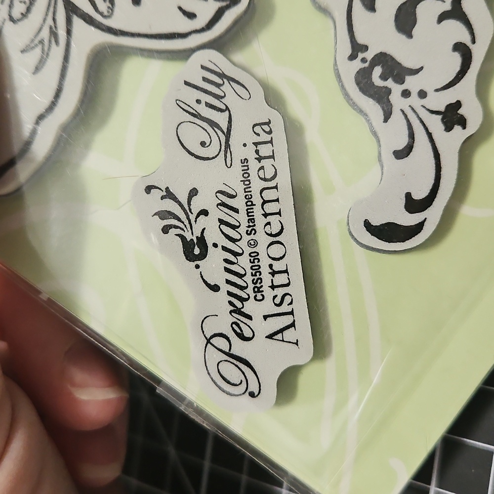 GIANT PERUVIAN LILY Alstroemeria Stampendous Rubber Stamps with free template. - Picture 5 of 5